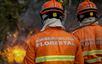 Governo de MT antecipa perodo proibitivo do uso do fogo no Pantanal
