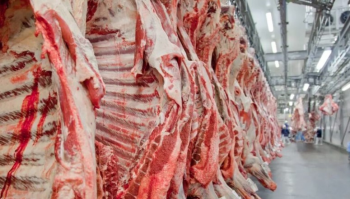 Mato Grosso tem maior volume de carne vermelha produzida nos ltimos anos