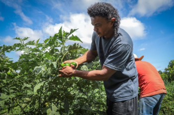 Governo de MT promove agricultura familiar inclusiva com apoio a quilombolas, indgenas e mulheres