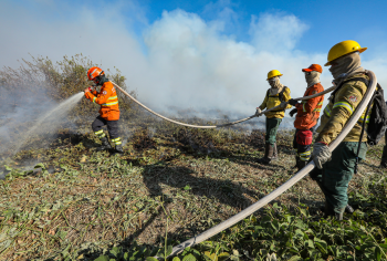 Bombeiros de MT combatem 21 incndios florestais no Estado nesta quarta-feira