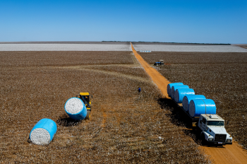 PIB de Mato Grosso registra a maior variao percentual do pas e cresce mais de 1.230% em 20 anos