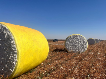 Produtor tem nova opo para armazenar algodo no campo