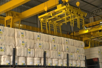 Brasil deve exportar volume recorde de algodo na safra 2024/25, apesar da reduo de rea em MT