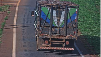 Polcia Civil indicia funcionrios de fazenda por abandono de cerca de 50 ces em rodovia