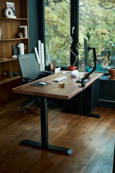 Ativando a prosperidade e produtividade: Conhea os benefcios de aplicar o Feng Shui no home office