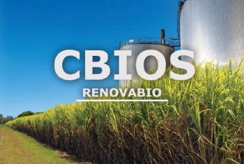 Mercado de CBios deve manter supervit em 2025, mesmo com estagnao da mistura de biodiesel