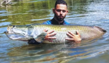 Pescador esportivo morre aps bater moto em caminhonete na BR-163 em MT