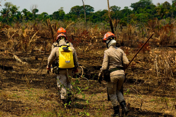 Unio entre instituies marca combate a incndios florestais em 2019