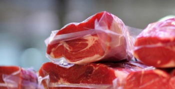 Exportaes de carne bovina encerram janeiro com alta de 9,84%
