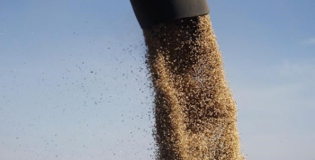 Mato Grosso ainda no comercializou 30% da atual safra de soja