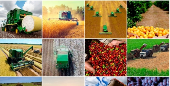 Agricultura latino-americana atrai grandes players globais