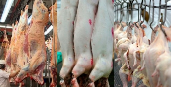 China impulsiona exportao e produo de carnes do Brasil em 2020, diz Rabobank