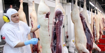 Venda de carne ao exterior cresce 28%, ajudada por epidemia na China