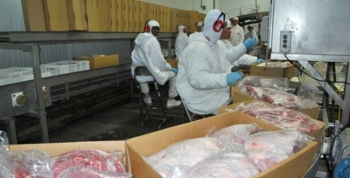 Receita de exportaes de carne suna cresce 54,6% em fevereiro