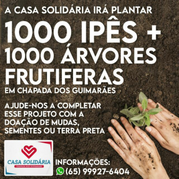 A Casa Solidaria Irá Plantar 1000 Ipés + 1000 Árvores Frutiferas Em Chapada Dos Guimarães.