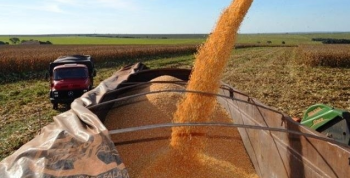 Seca afetou boa parte do milho de Mato Grosso, diz presidente da Aprosoja-MT