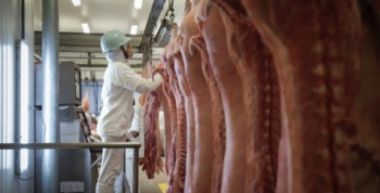 Exportaes de carne suna somam US$ 409 milhes at abril