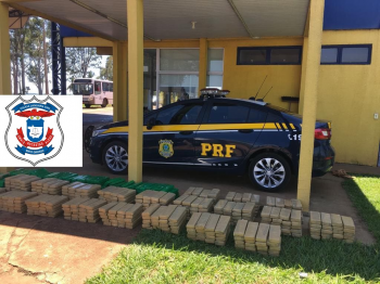 Polcia Civil de Primavera do Leste e PRF apreendem 501 quilos de maconha em Mato Grosso do Sul