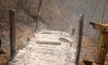 Fogo destri escada de acesso e vegetao na Dolina gua Milagrosa.