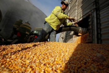 StoneX detalha tendências de expansão do mercado de etanol de milho