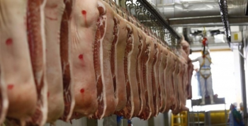 Coreia do Sul abriu mercado para a carne suna do Brasil, diz ministro