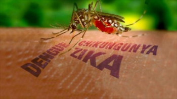 Zika e Chikungunya so de alto risco para Cuiab e regio.