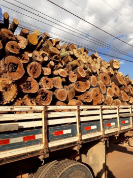 Cerca de oito toneladas de madeira so apreendidas pela PM em MT.