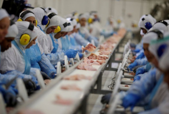Cooperativas renem agroindstrias gigantes no mercado de carnes