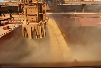 Brasil pode embarcar at 11,96 milhes de t de soja em maio, aponta ANEC