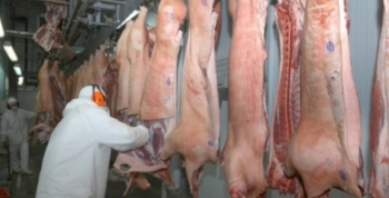 Brasil embarca 20,3 mil toneladas de carne suna na primeira semana de fevereiro