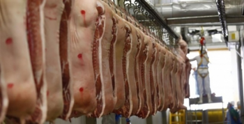 Boletim Agropecurio aponta recorde nas exportaes de carne suna