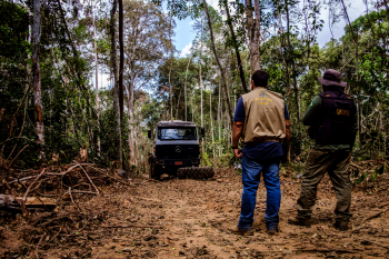 Mato Grosso  o estado que mais age no combate ao desmatamento, aponta MapBiomas