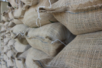 Exportações globais de café crescem 2% em agosto, diz OIC