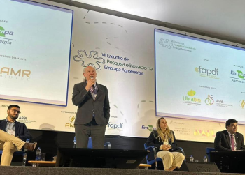 No podemos ficar refns de fake news, declarou Donizete Tokarski
