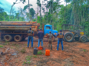 Polícia Civil prende três pessoas envolvidas em extração ilegal de madeira em Nova Maringá