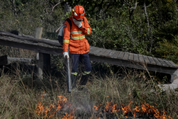 Corpo de Bombeiros segue no combate a dois incndios florestais neste domingo (23)