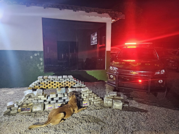 Gefron apreende 153 kg de drogas e gera prejuzo de R$ 1,6 milho ao crime organizado