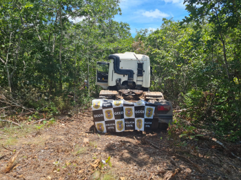 Caminhao roubado na BR-070  localizado escondido em matagal na regio de Livramento