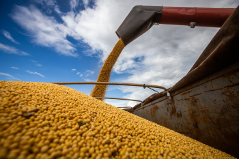 Recorde: 101,3 milhes de toneladas de soja foram exportadas em 2023