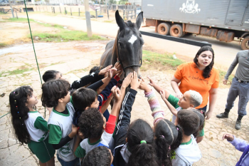 Estudantes vivenciam a pecuria na Expoagro