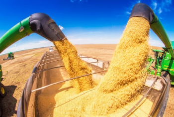 Soja 2023/24 est 78% colhida no Brasil; milho safrinha segue com alerta ligado no PR