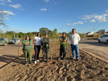 No Dia do Meio Ambiente, Prefeitura inicia plantio de ips em avenida de Barra do Garas