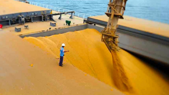 Volume de soja exportada por Mato Grosso fica 7,9% abaixo da mdia