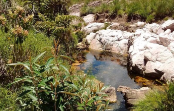 Pesquisadores da UFMT Araguaia desenvolvem aplicativo para mapear nascentes do Cerrado