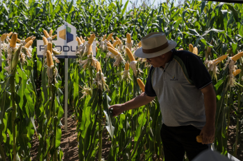 Evento em Rondonpolis (MT) vai promover a expanso das vendas diretas no agro