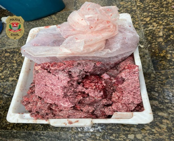 Polcia Civil prende em flagrante responsveis por aougues que comercializavam carnes estragadas no litoral sul