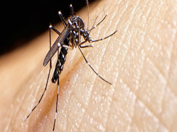 Brasil  pas com mais casos de dengue no mundo, alerta OMS