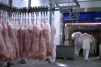 Queda no preo da tonelada: exportaes de carne suna na 4 semana de dezembro