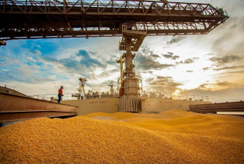 Exportao de milho bate recorde em dezembro