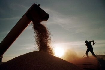Mato Grosso j comercializou quase metade da safra de soja 2024/25, aponta Imea